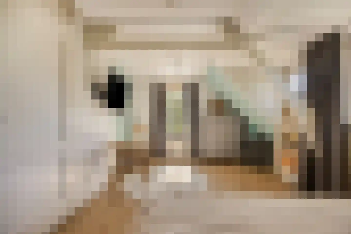 Galgendijk 5 Dinteloord thumbnail 36