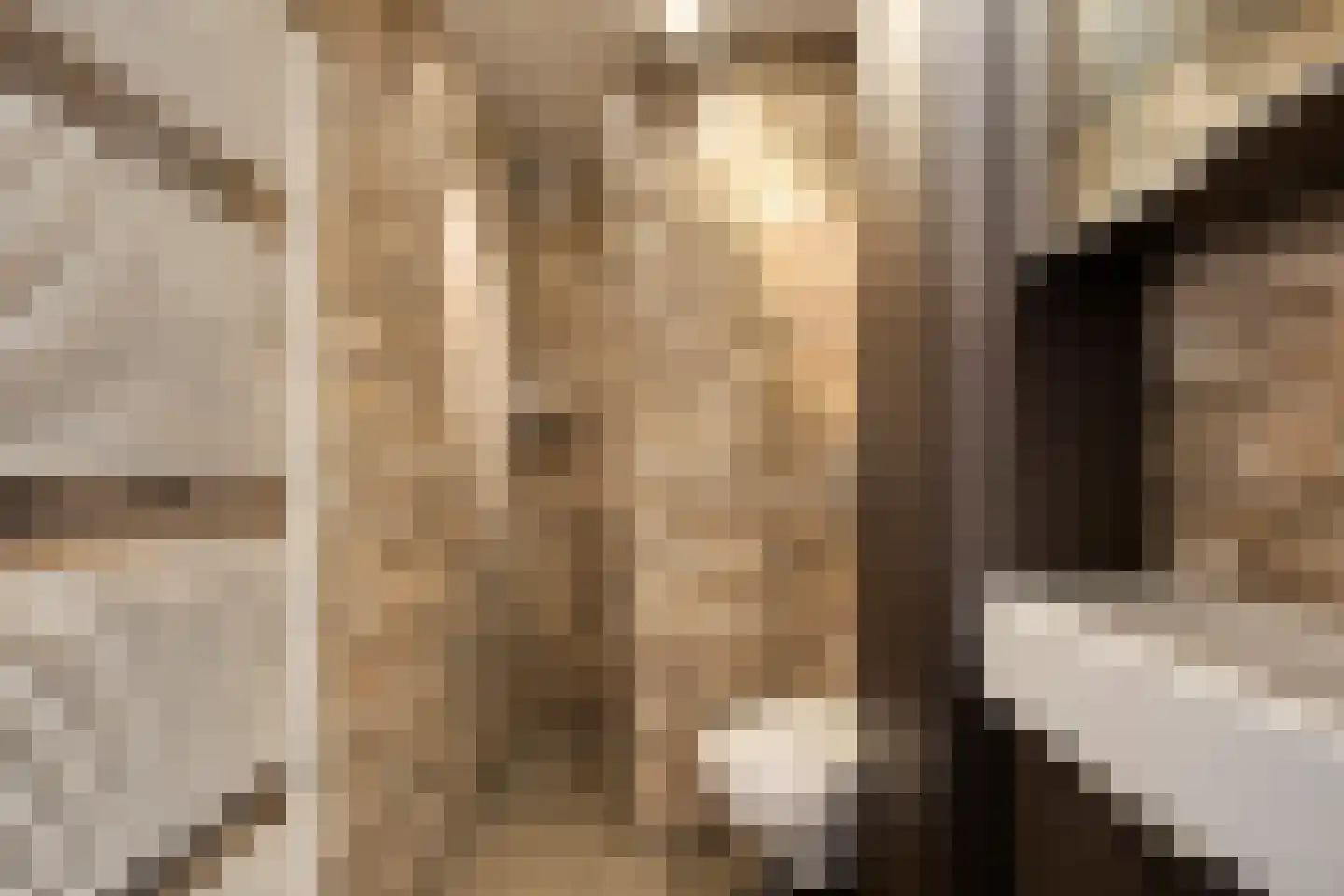 Galgendijk 5 Dinteloord thumbnail 37