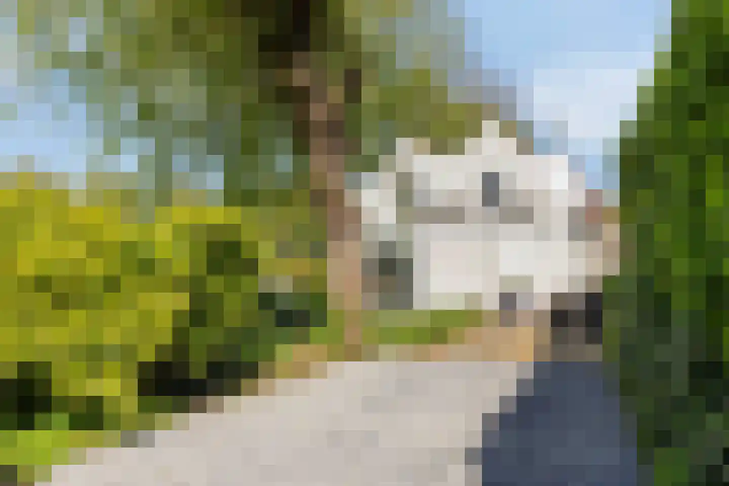 Galgendijk 5 Dinteloord thumbnail 4