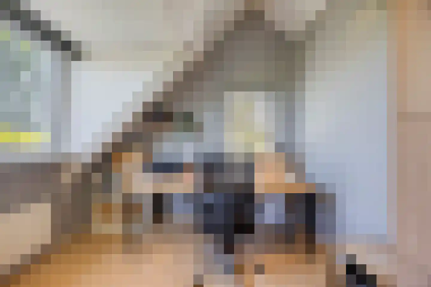 Galgendijk 5 Dinteloord thumbnail 44