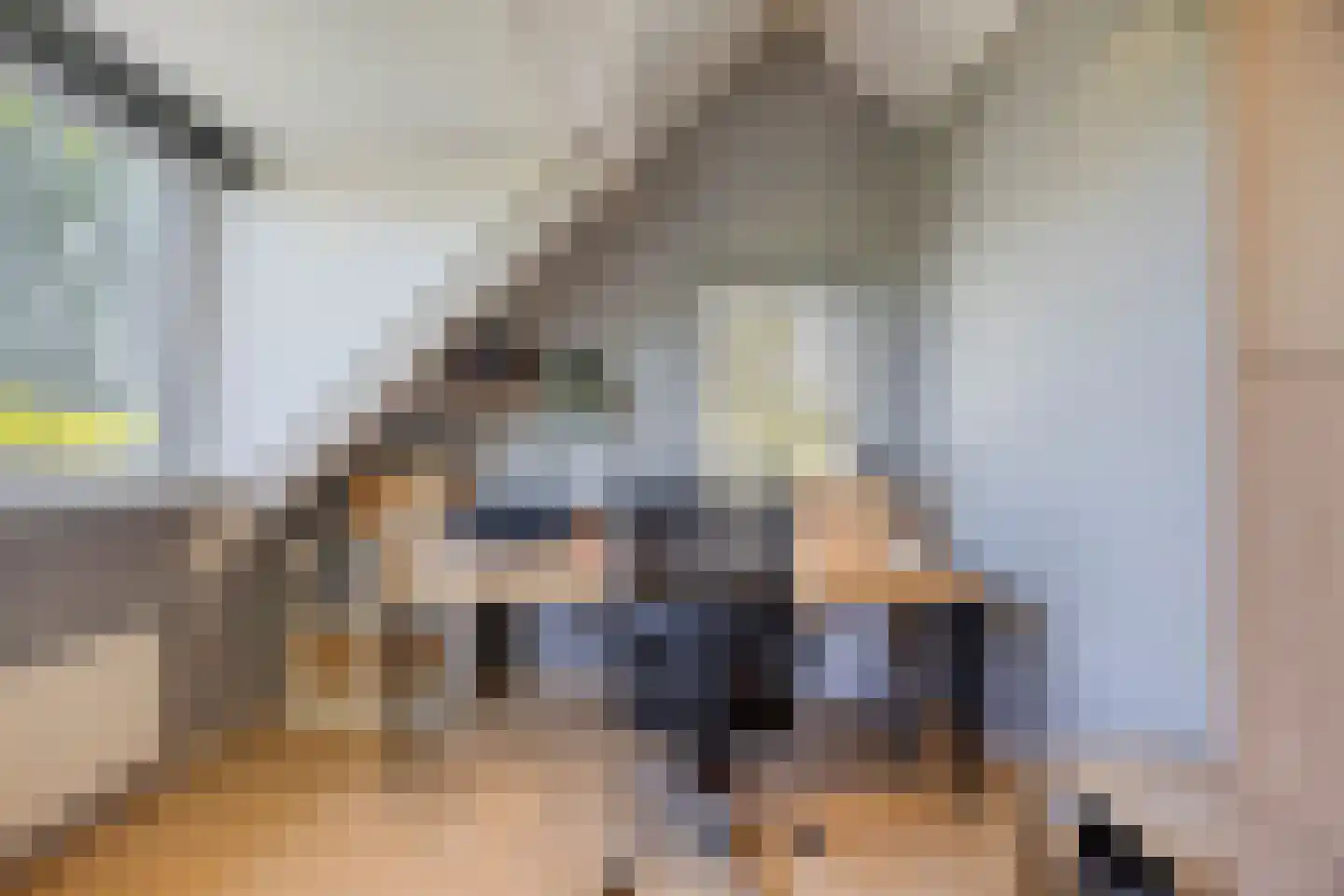 Galgendijk 5 Dinteloord thumbnail 46