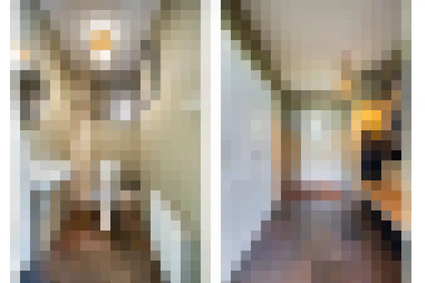 Galgendijk 5 Dinteloord thumbnail 5