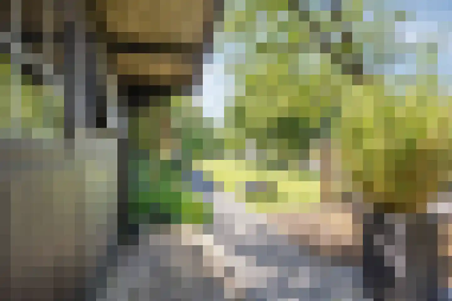 Galgendijk 5 Dinteloord thumbnail 53