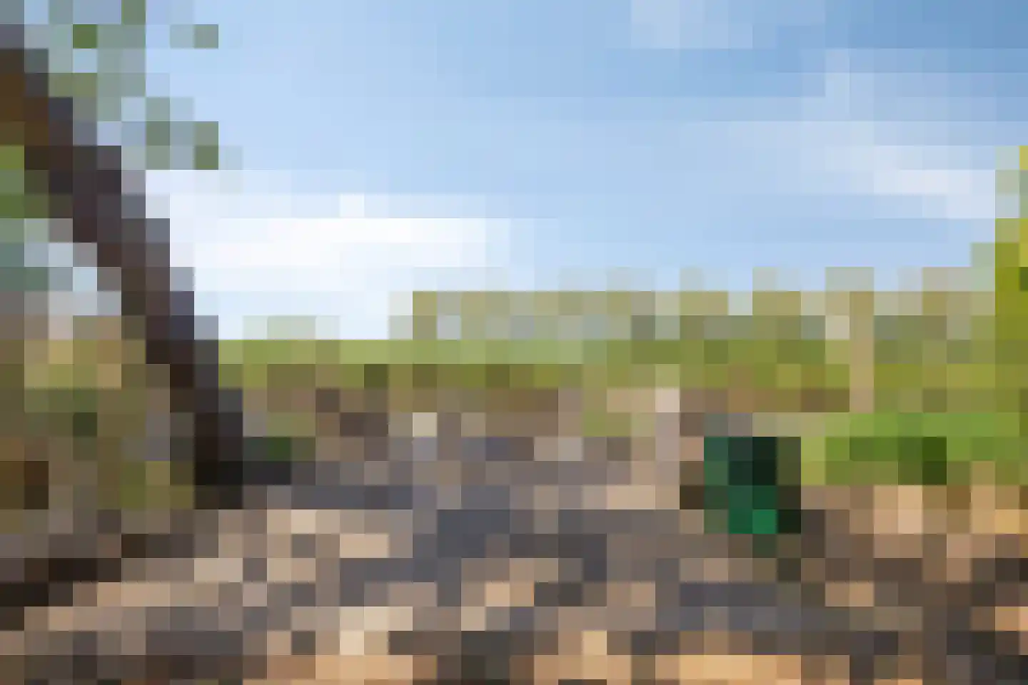 Galgendijk 5 Dinteloord thumbnail 56