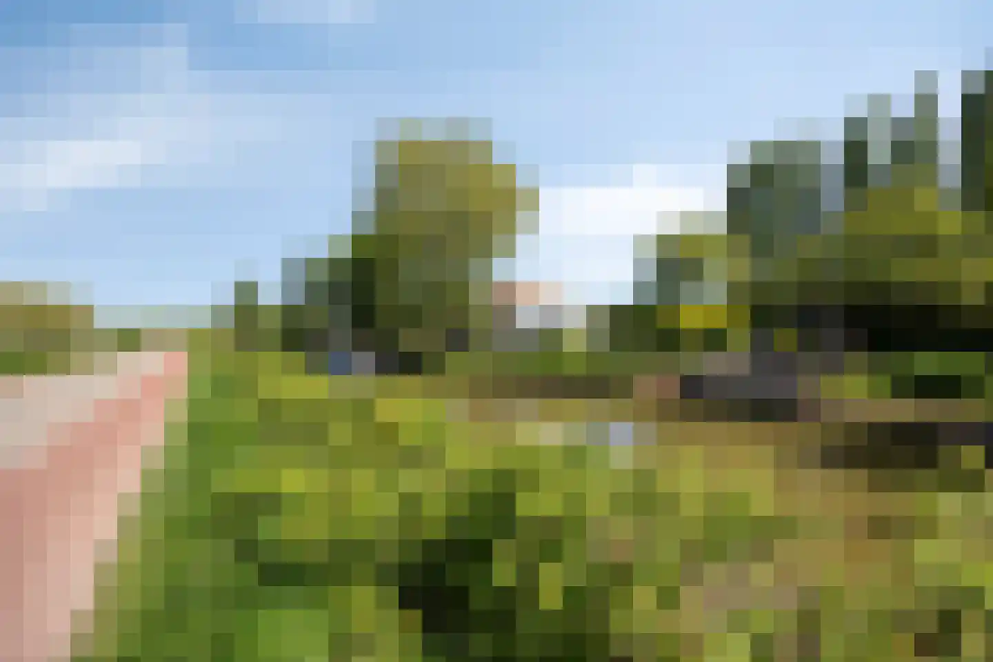 Galgendijk 5 Dinteloord thumbnail 57