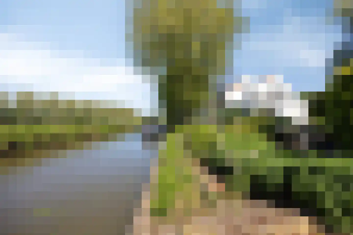 Galgendijk 5 Dinteloord thumbnail 58
