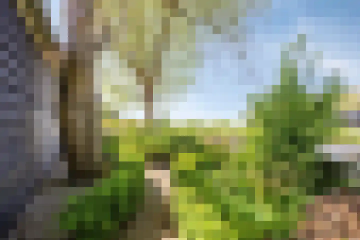 Galgendijk 5 Dinteloord thumbnail 60
