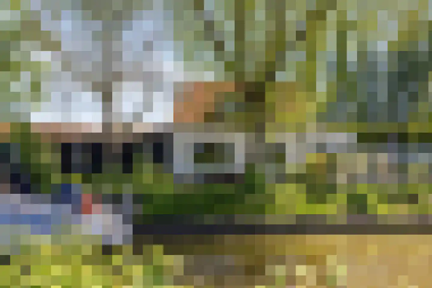 Galgendijk 5 Dinteloord thumbnail 61
