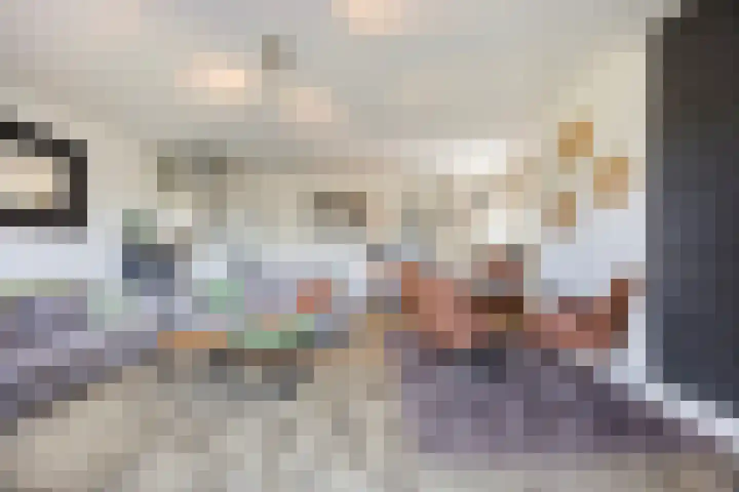 Galgendijk 5 Dinteloord thumbnail 68
