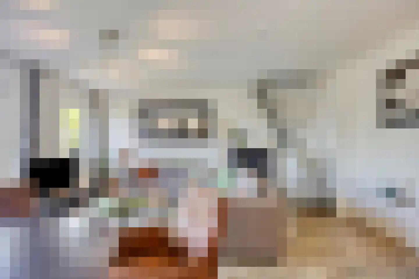 Galgendijk 5 Dinteloord thumbnail 69