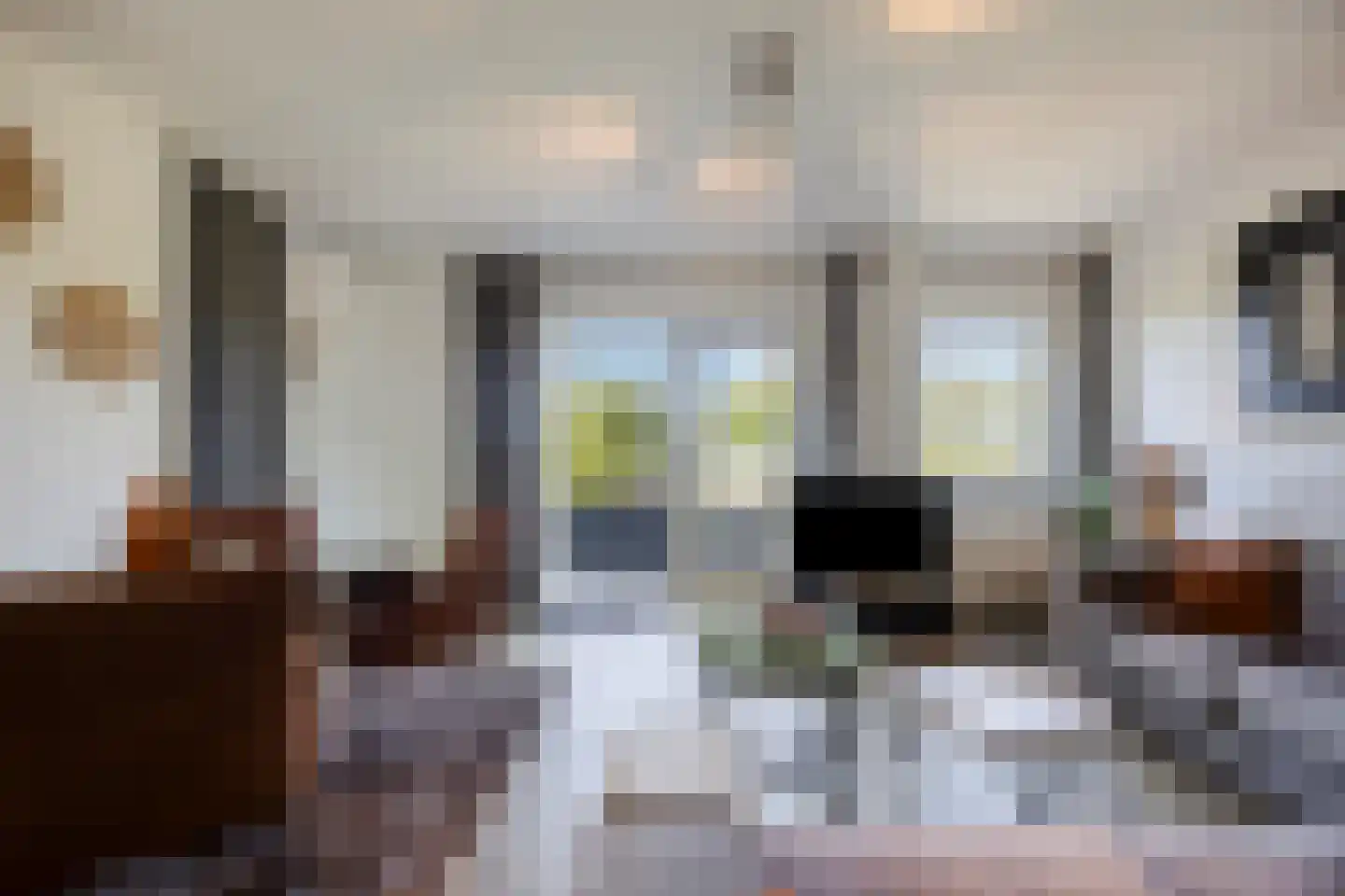 Galgendijk 5 Dinteloord thumbnail 70