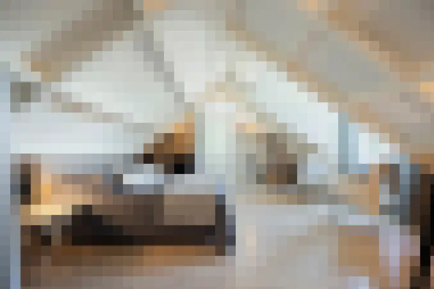 Galgendijk 5 Dinteloord thumbnail 75