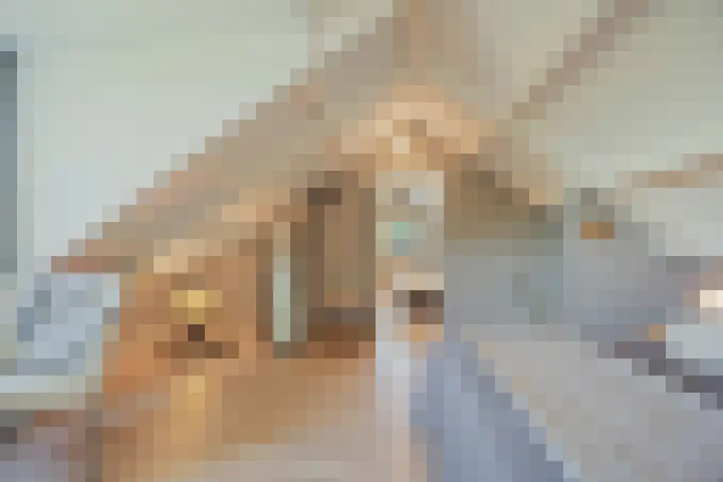 Galgendijk 5 Dinteloord thumbnail 76