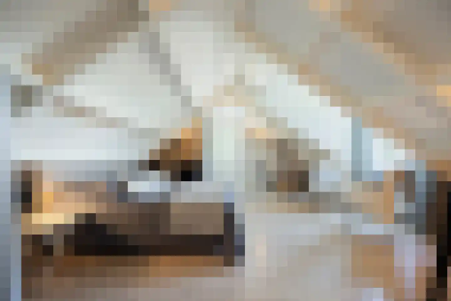 Galgendijk 5 Dinteloord thumbnail 76