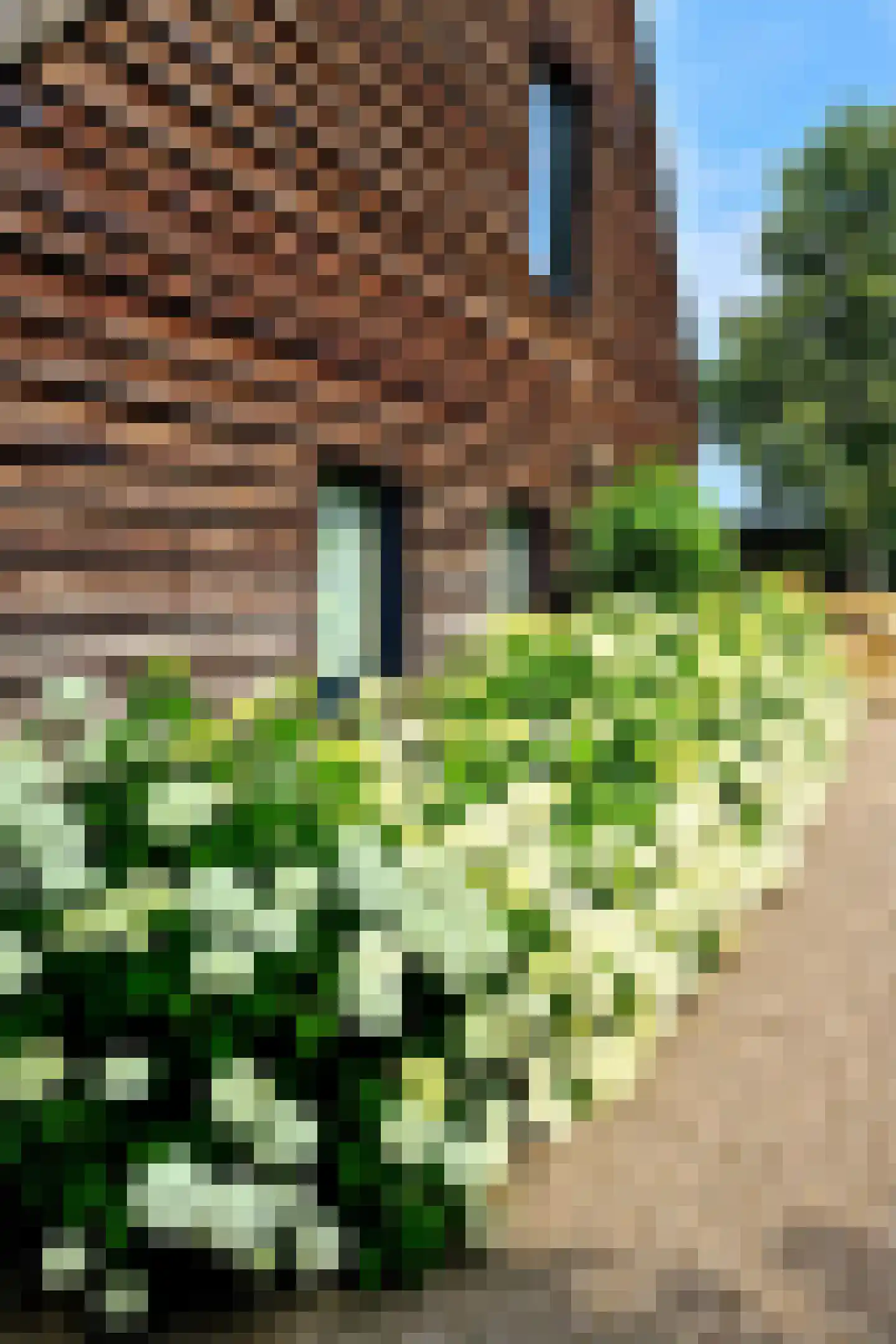 Galgenkamp 1 Ruinen thumbnail 16