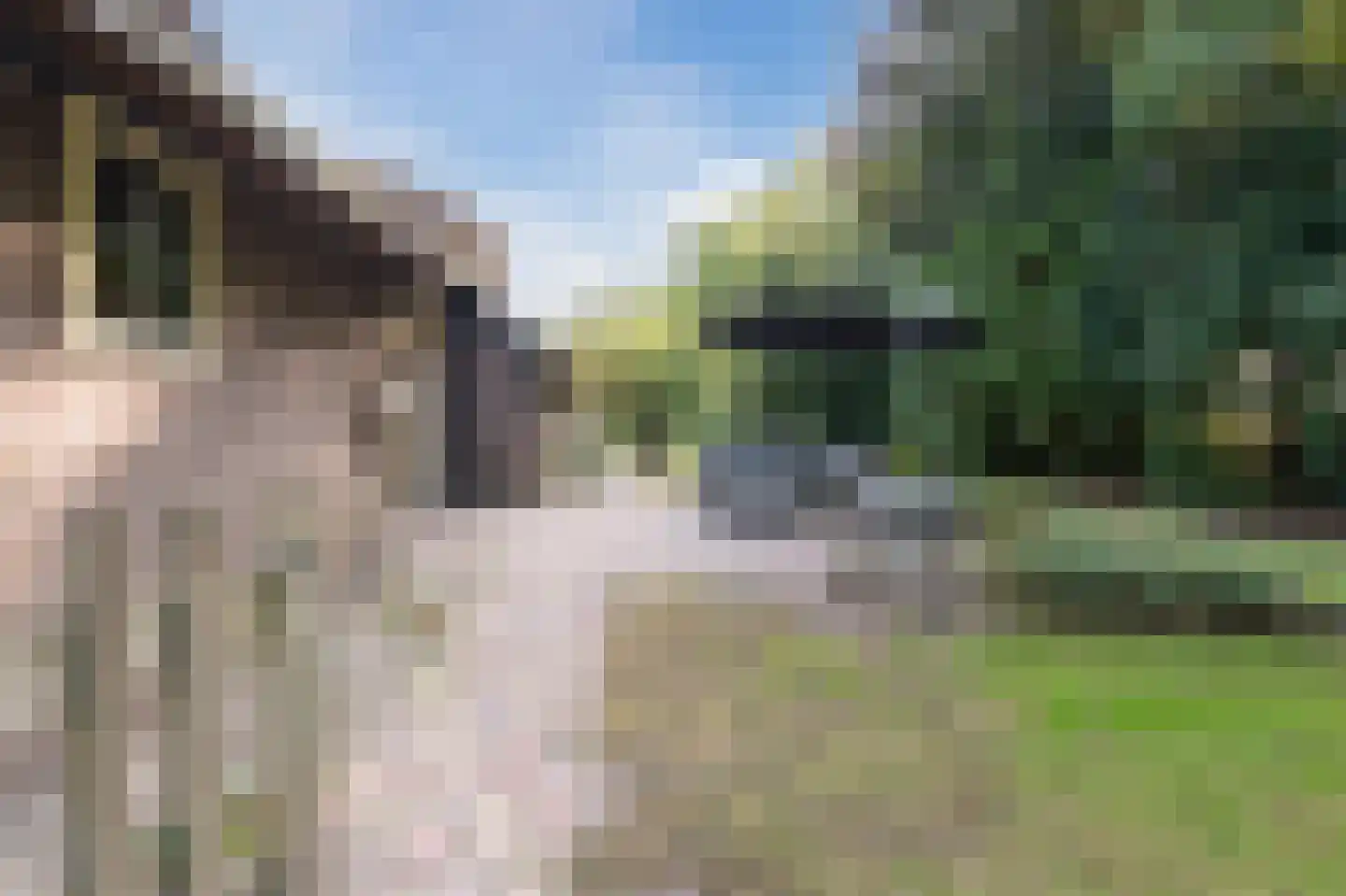 Galgenkamp 1 Ruinen thumbnail 65