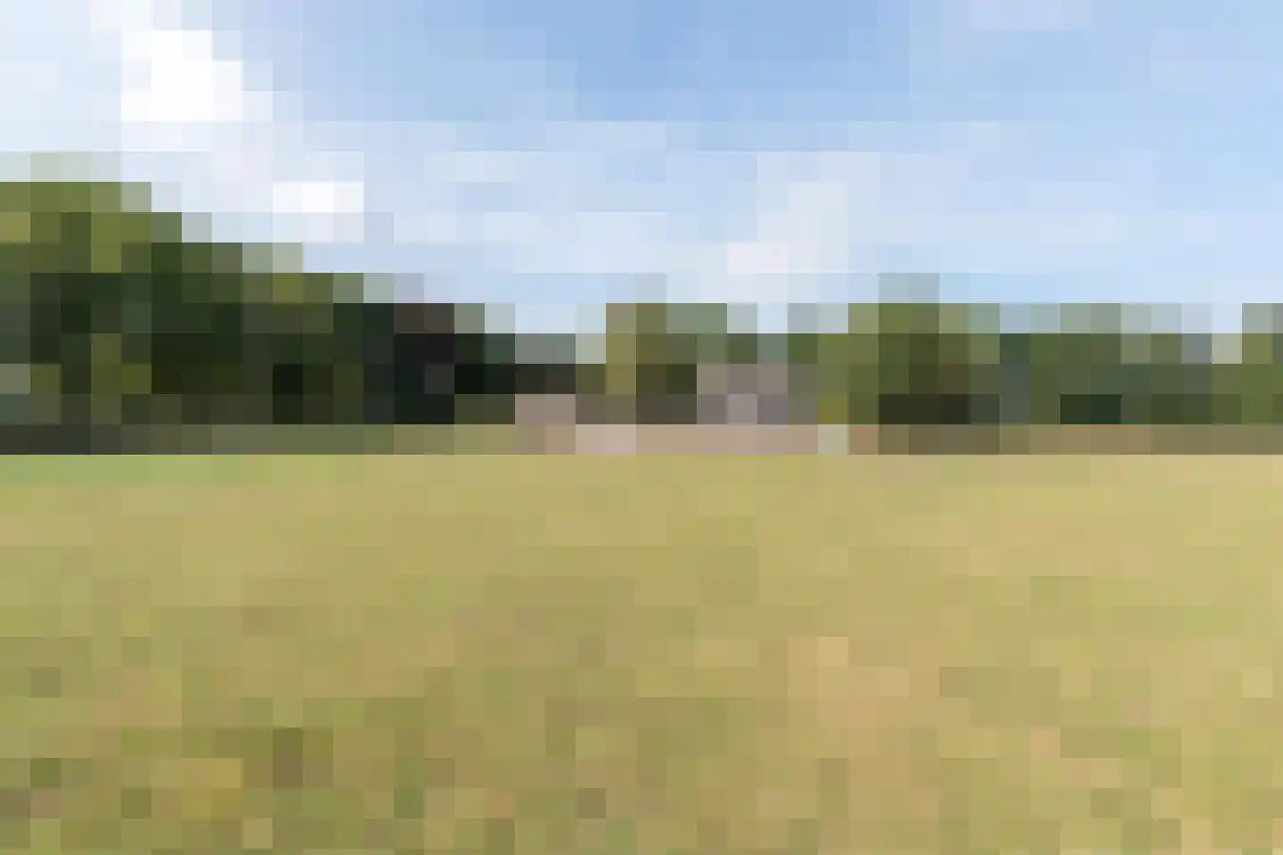 Galgenkamp 1 Ruinen thumbnail 85