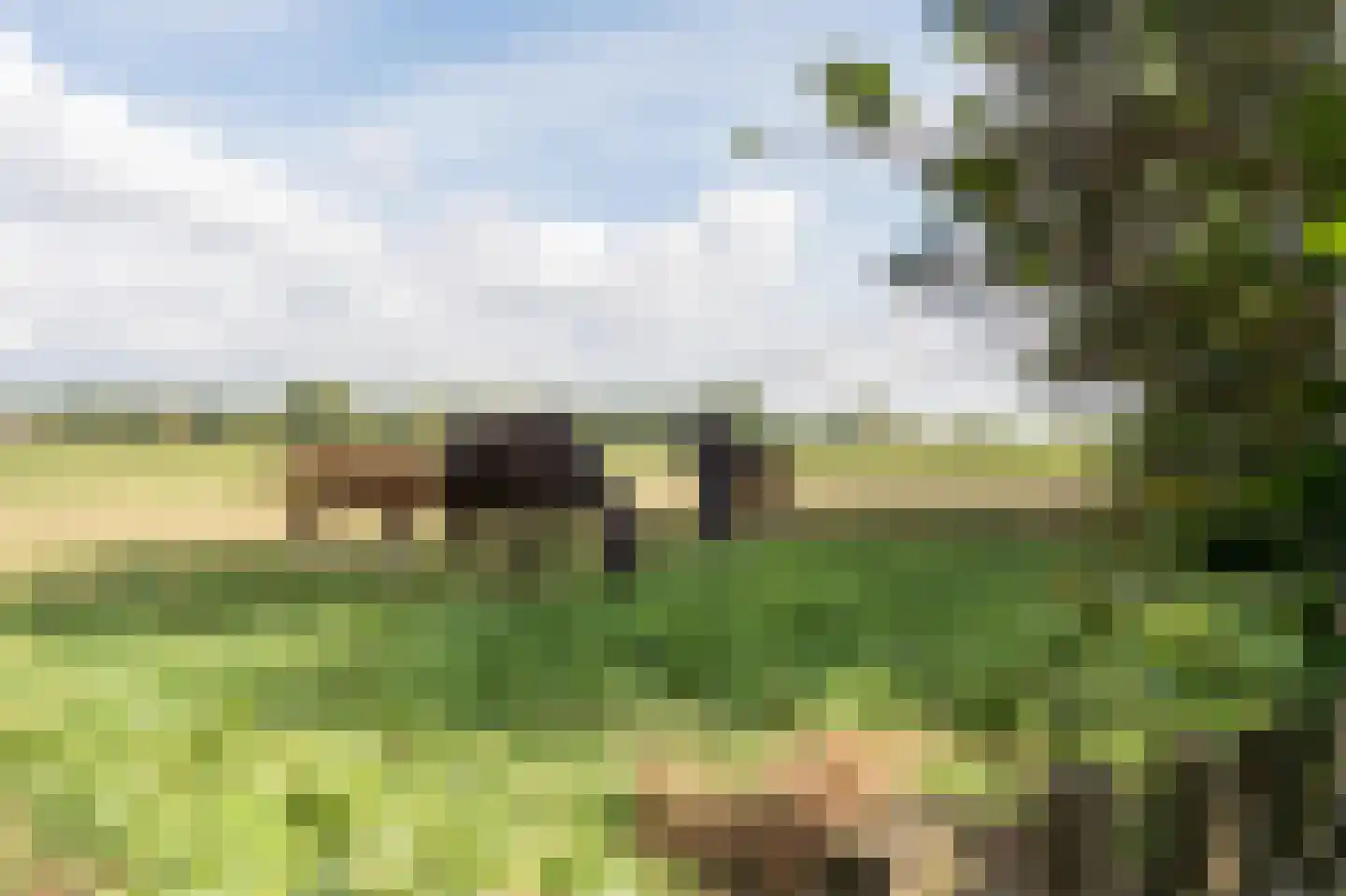 Galgenkamp 1 Ruinen thumbnail 88