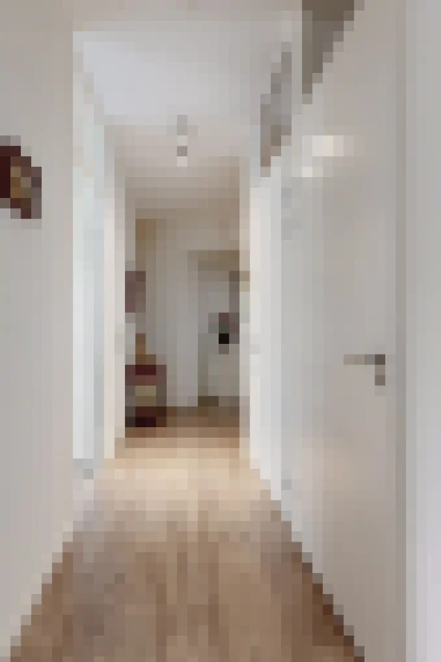 Galgenweg 1 a Zevenbergen thumbnail 17