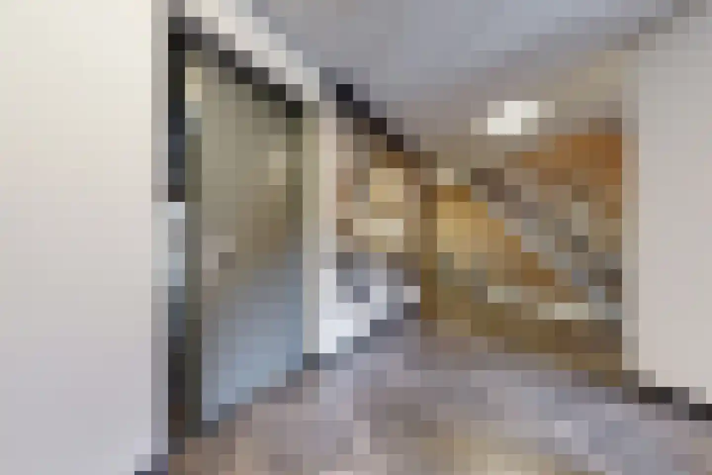 Galgenweg 1 a Zevenbergen thumbnail 8