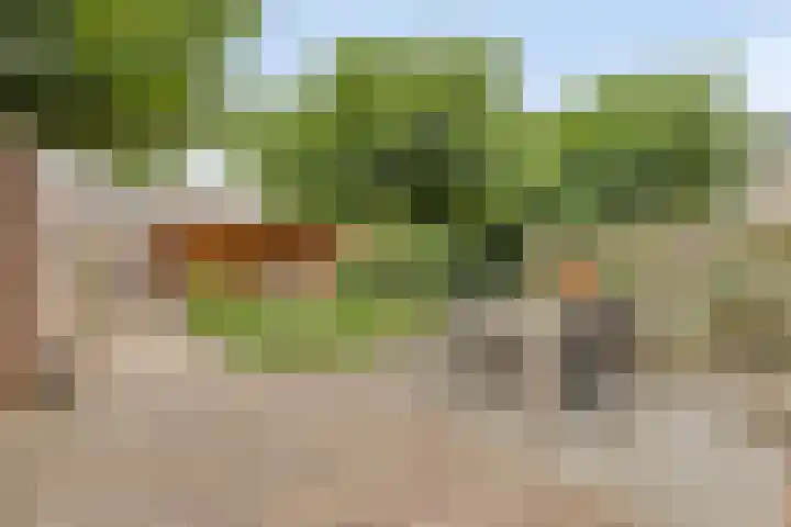 Galgenweg 23 Zevenbergen thumbnail 29