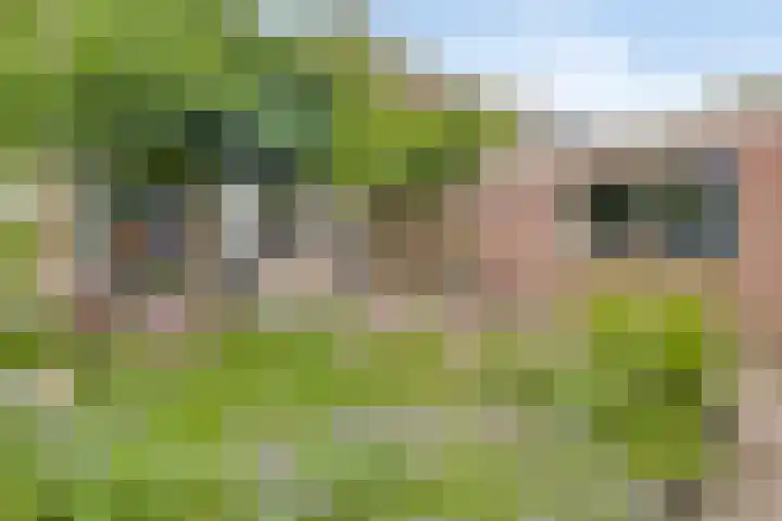 Galgenweg 23 Zevenbergen thumbnail 30