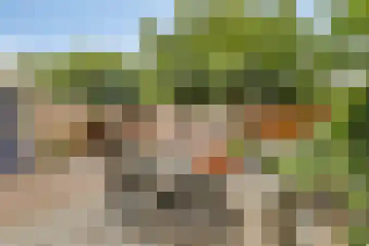 Galgenweg 23 Zevenbergen thumbnail 31
