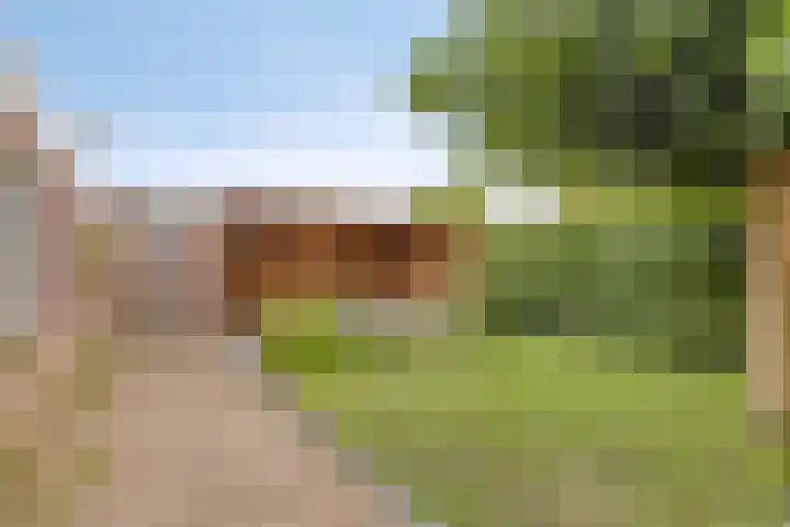 Galgenweg 23 Zevenbergen thumbnail 33