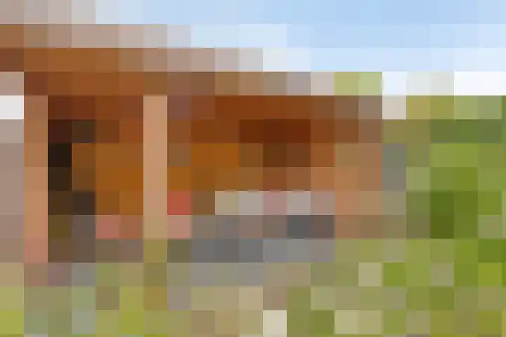 Galgenweg 23 Zevenbergen thumbnail 35