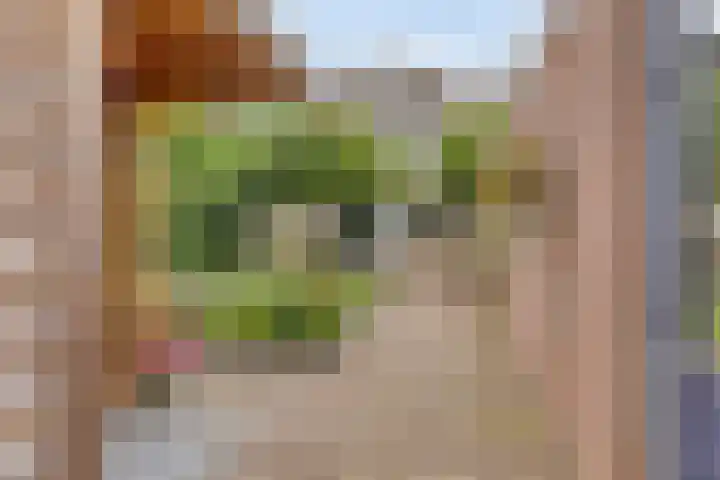 Galgenweg 23 Zevenbergen thumbnail 36