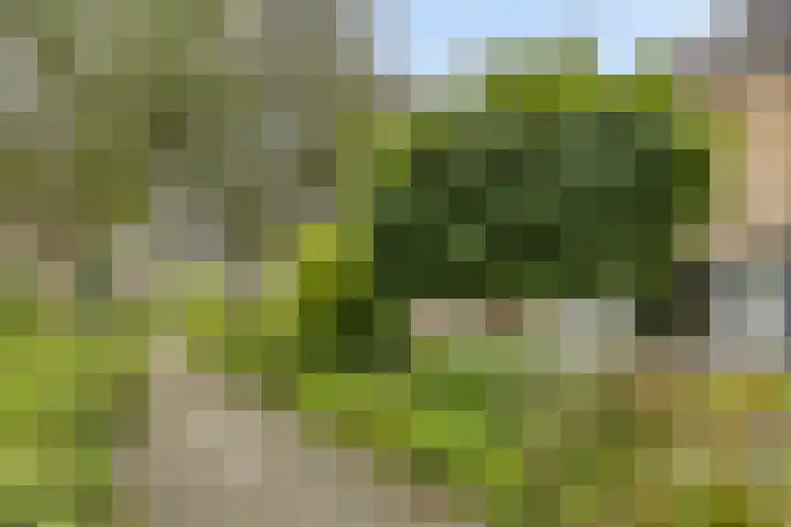 Galgenweg 23 Zevenbergen thumbnail 39