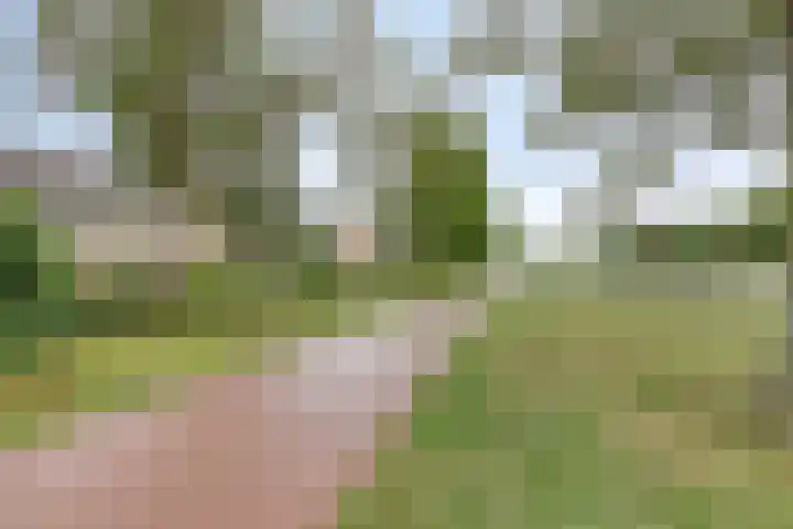 Galgenweg 23 Zevenbergen thumbnail 40