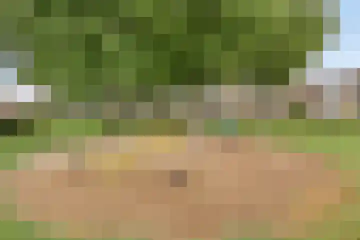 Galgenweg 23 Zevenbergen thumbnail 41