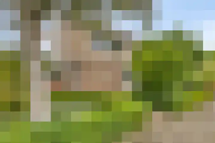 Galgenweg 23 Zevenbergen thumbnail 48