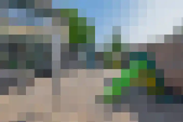 Galgenweg 31 Zevenbergen thumbnail 16
