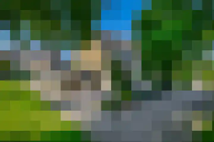 Galgenweg 31 Zevenbergen thumbnail 5