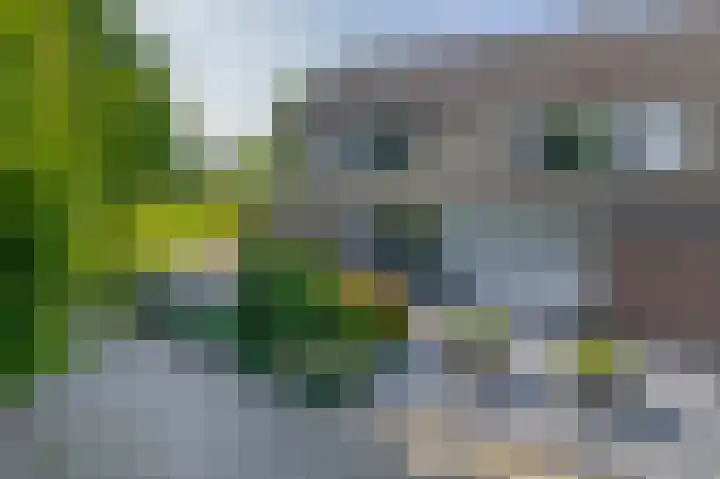 Galgenweg 31 Zevenbergen thumbnail 7