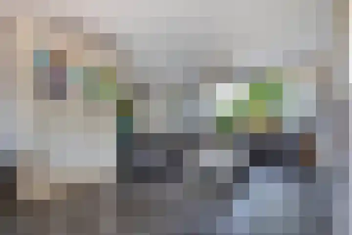 Galgenweg 31 Zevenbergen thumbnail 8