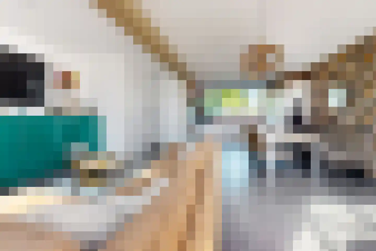 Galgenweg 4 Zevenbergen thumbnail 16