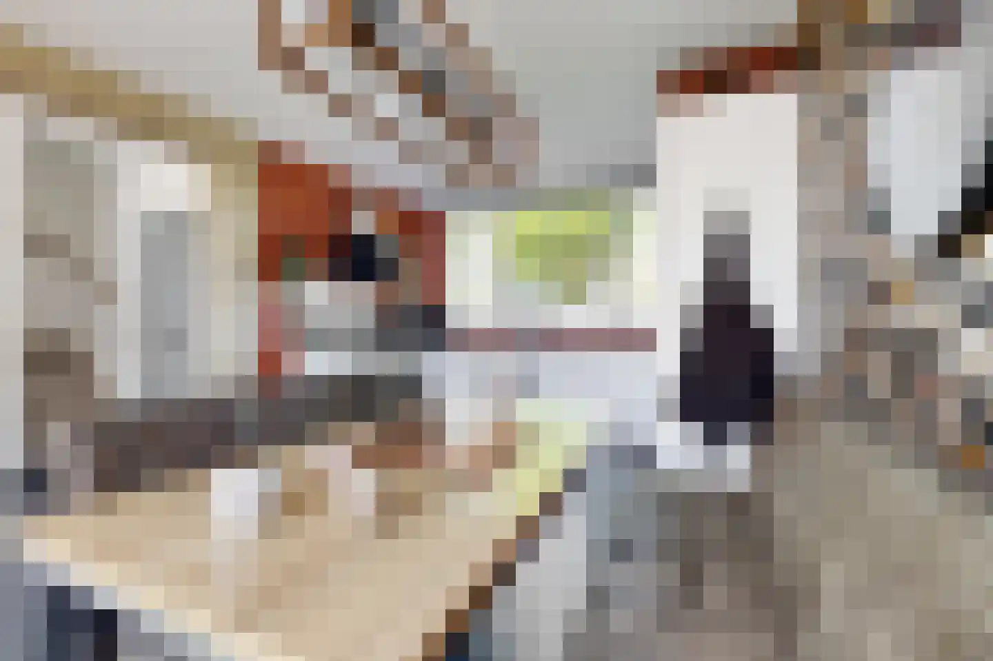 Galgenweg 4 Zevenbergen thumbnail 19