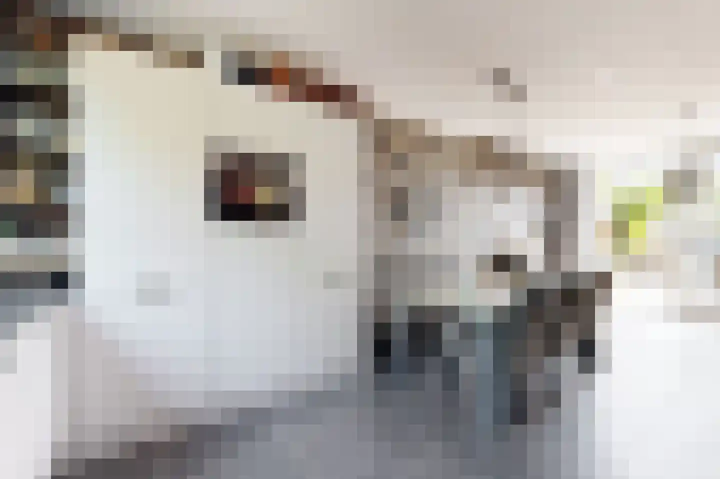 Galgenweg 4 Zevenbergen thumbnail 26