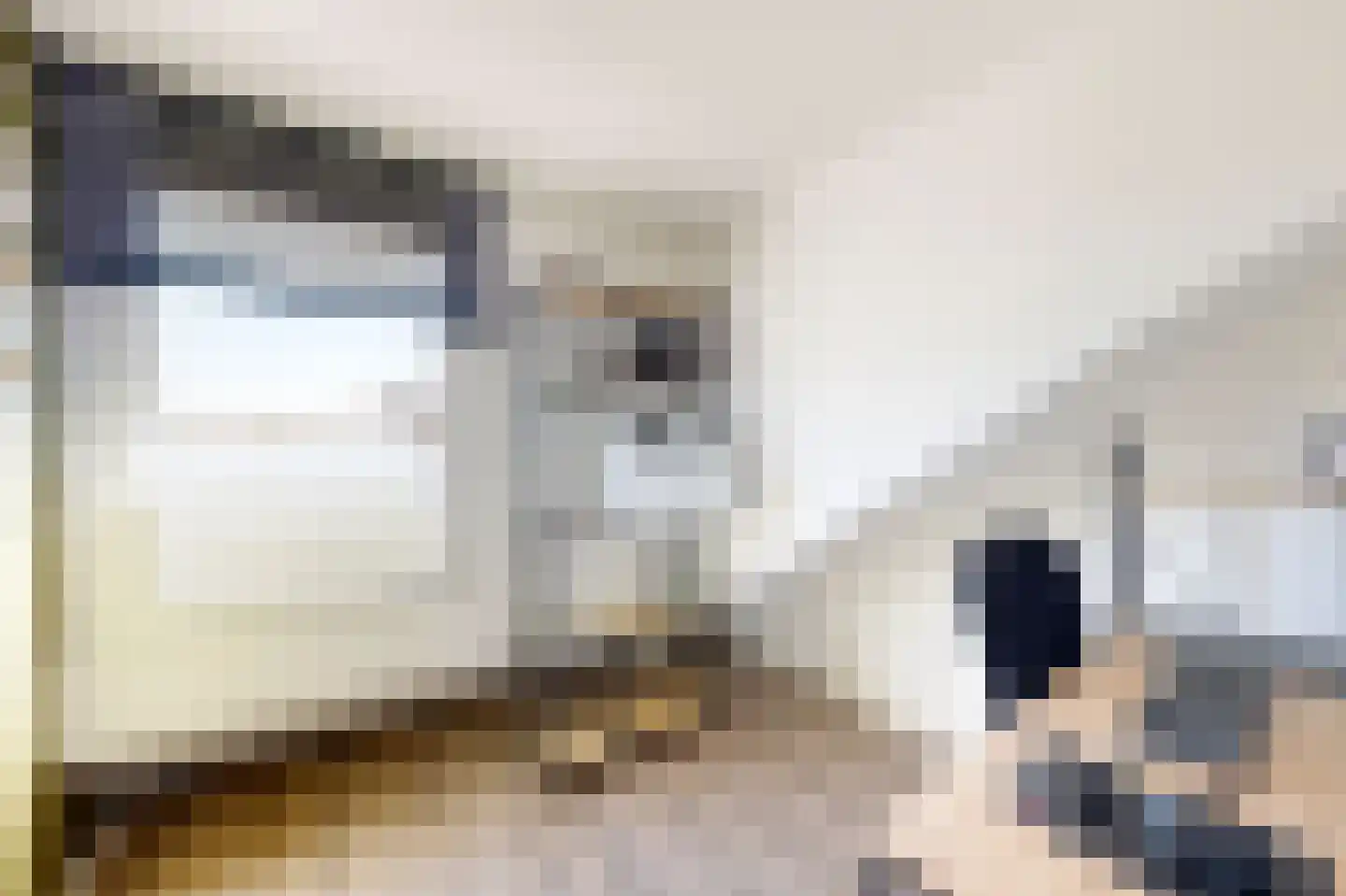 Galgenweg 4 Zevenbergen thumbnail 59