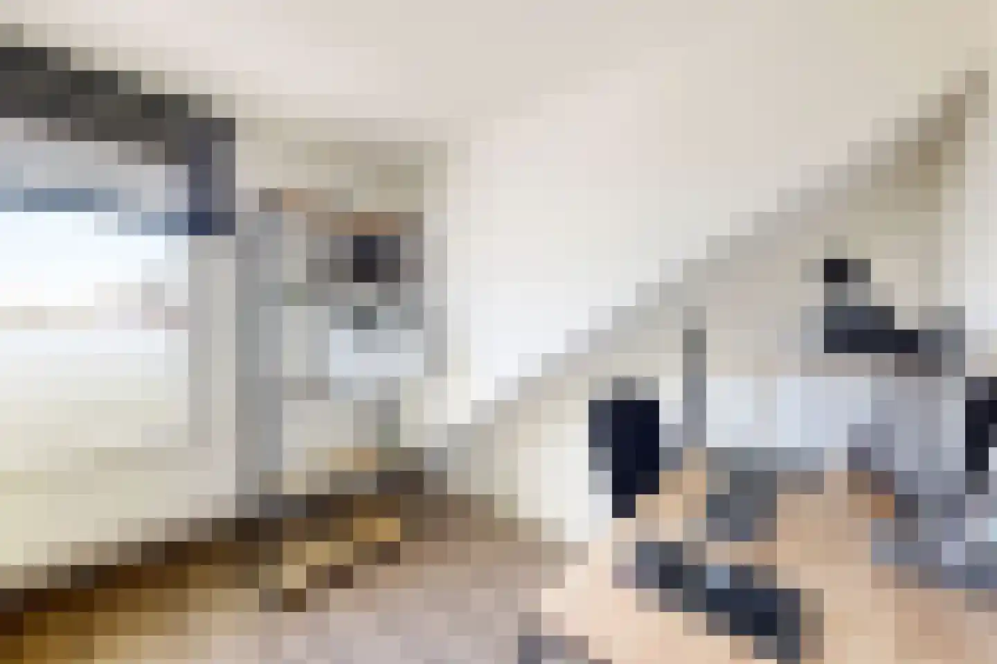 Galgenweg 4 Zevenbergen thumbnail 61
