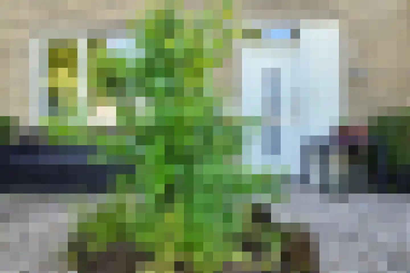 Galgenweg 4 Zevenbergen thumbnail 72