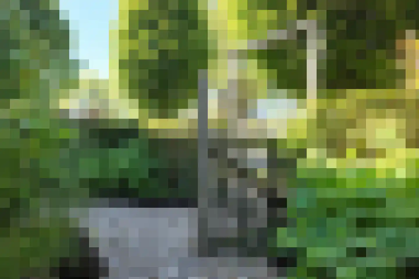 Galgenweg 4 Zevenbergen thumbnail 74
