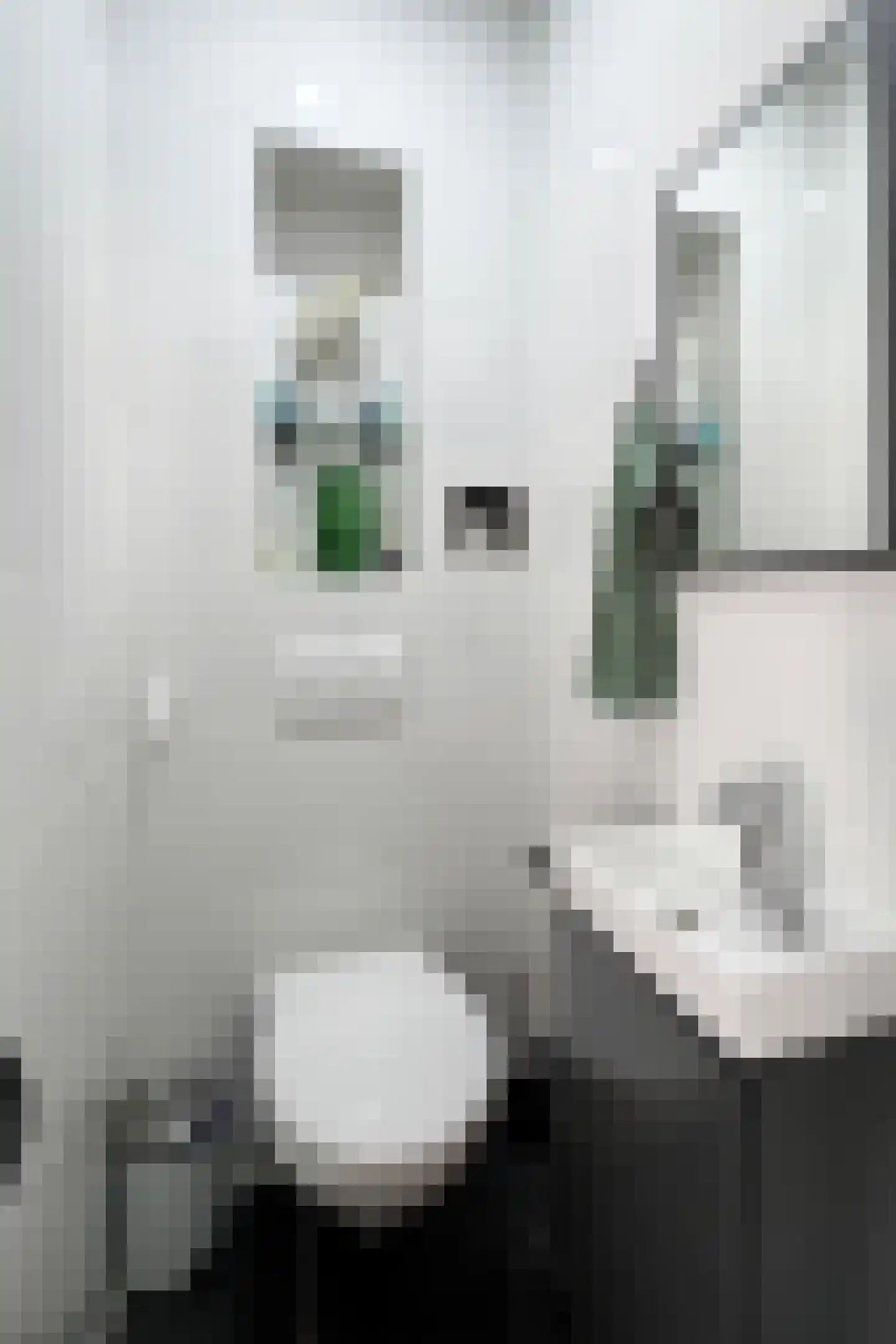 Galgenweg 4 Zevenbergen thumbnail 9