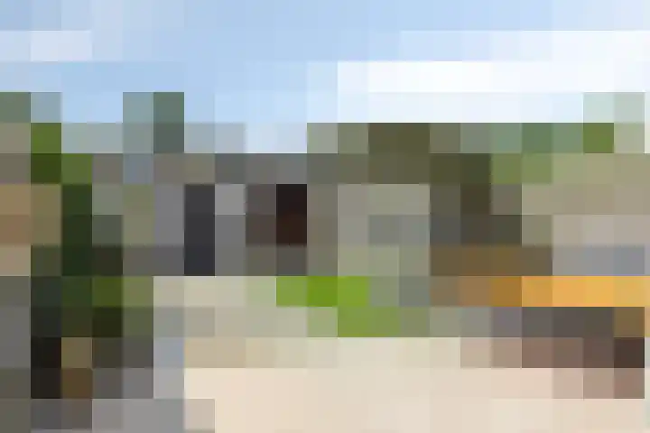 Galgenweg 71 Zevenbergen thumbnail 21