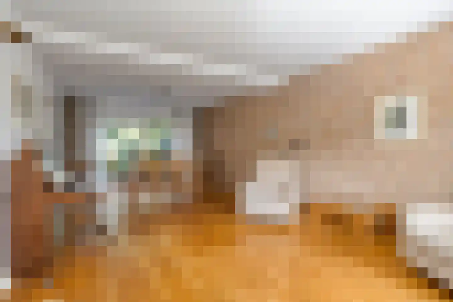 Galgeplek 10 Elst thumbnail 14