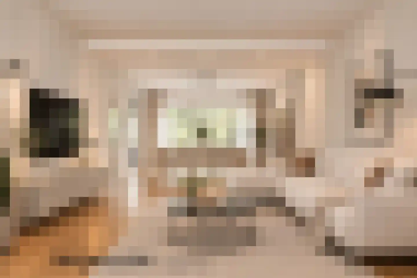 Galgeplek 10 Elst thumbnail 15