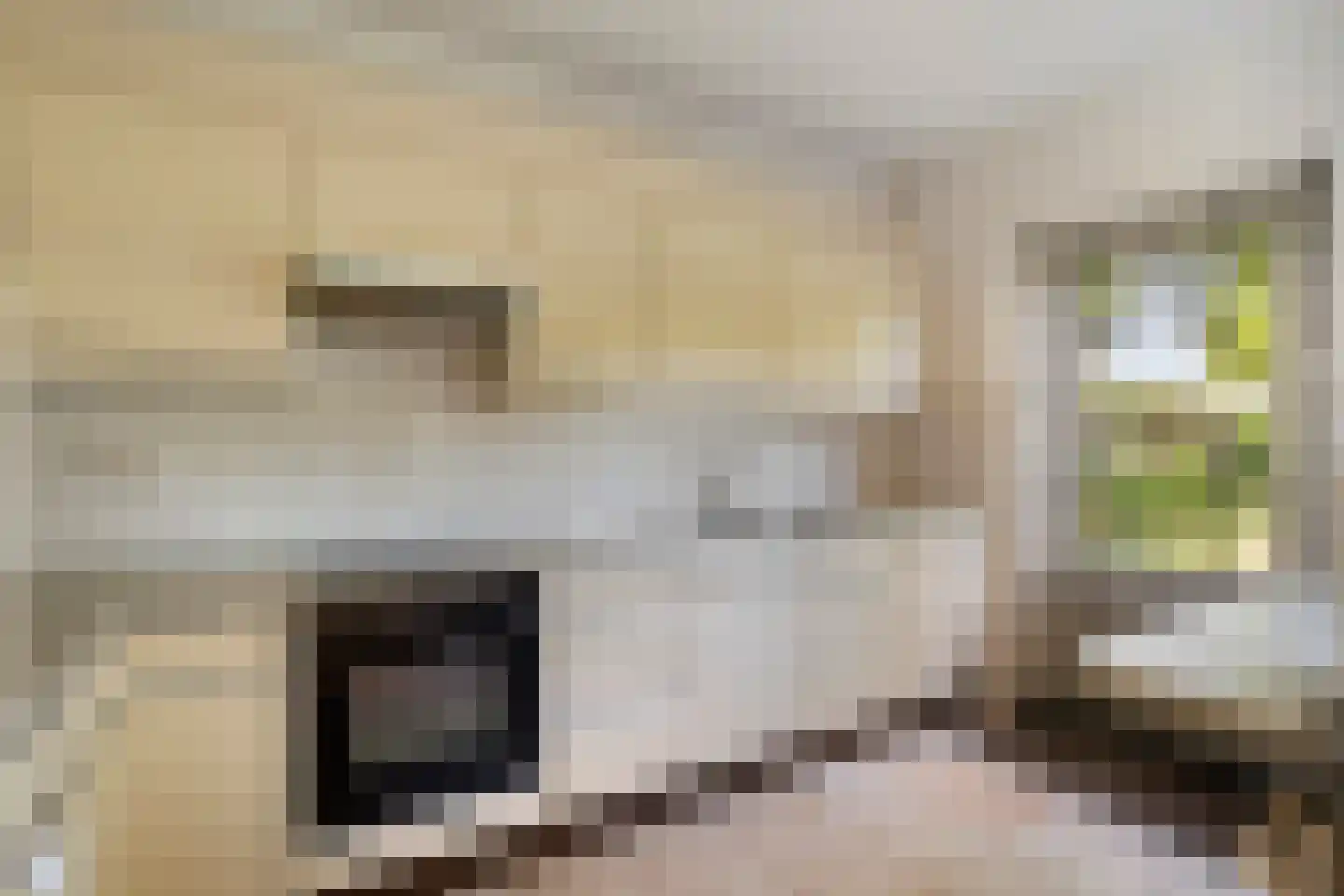 Galgeplek 10 Elst thumbnail 19